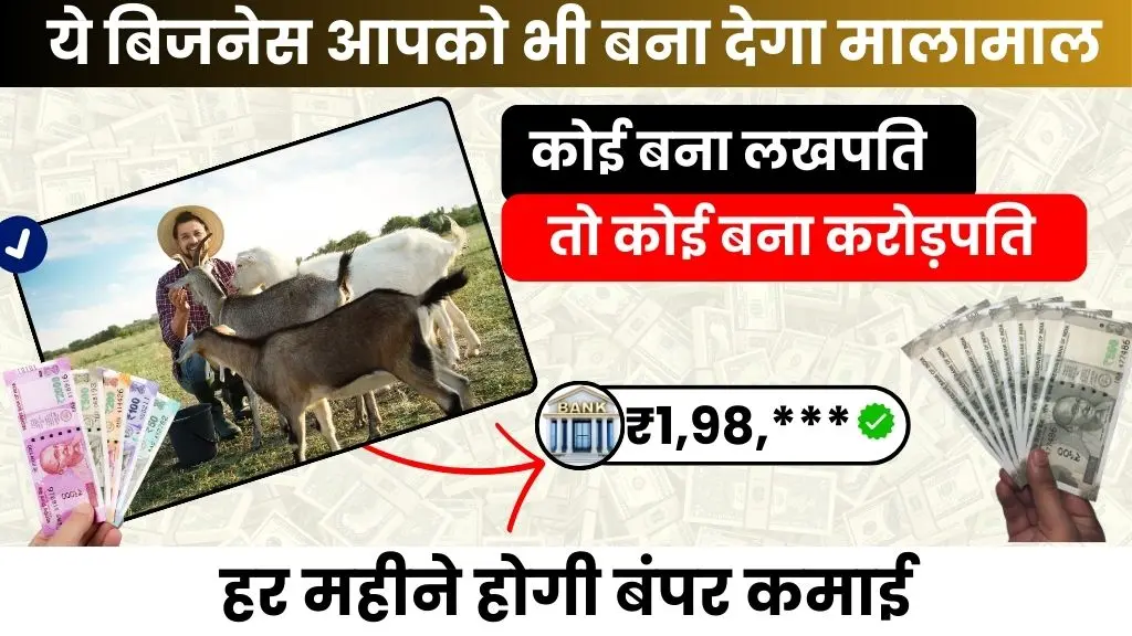 Goat Farming Business idea - कोई बना लखपति, कोई करोड़पति, ये बिजनेस आपको भी बना देगा मालामाल, हर महीने होगी बंपर कमाई