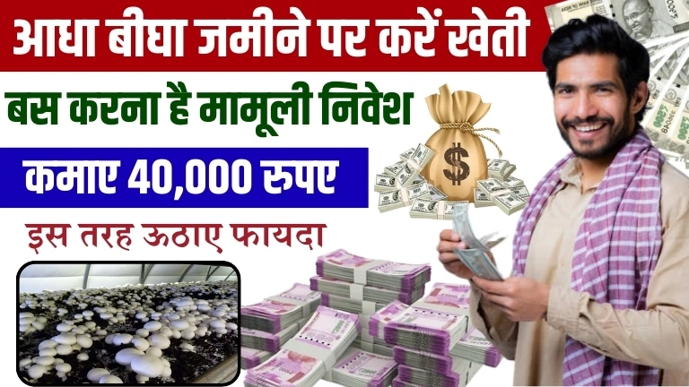 Business Idea For Farmers: आधा बीधा जमीन पर खेती करके कमाए 40,000 रुपए, जाने पूरी जानकारी