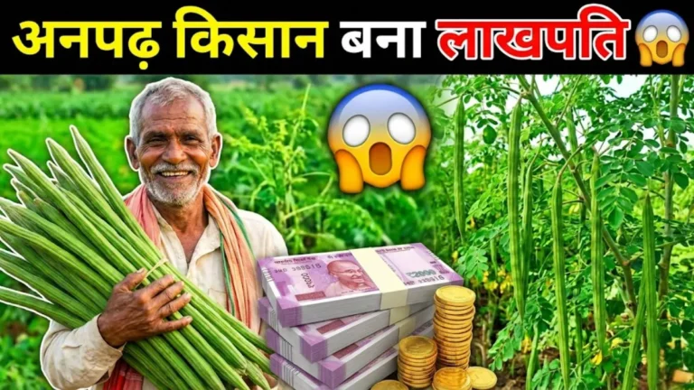 Business Idea अनपढ़ किसान ने खड़ा किया लाखों का बिजनेस, खुद घर आ रहे खरीदार