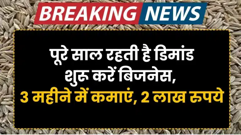 Cumin farming business idea