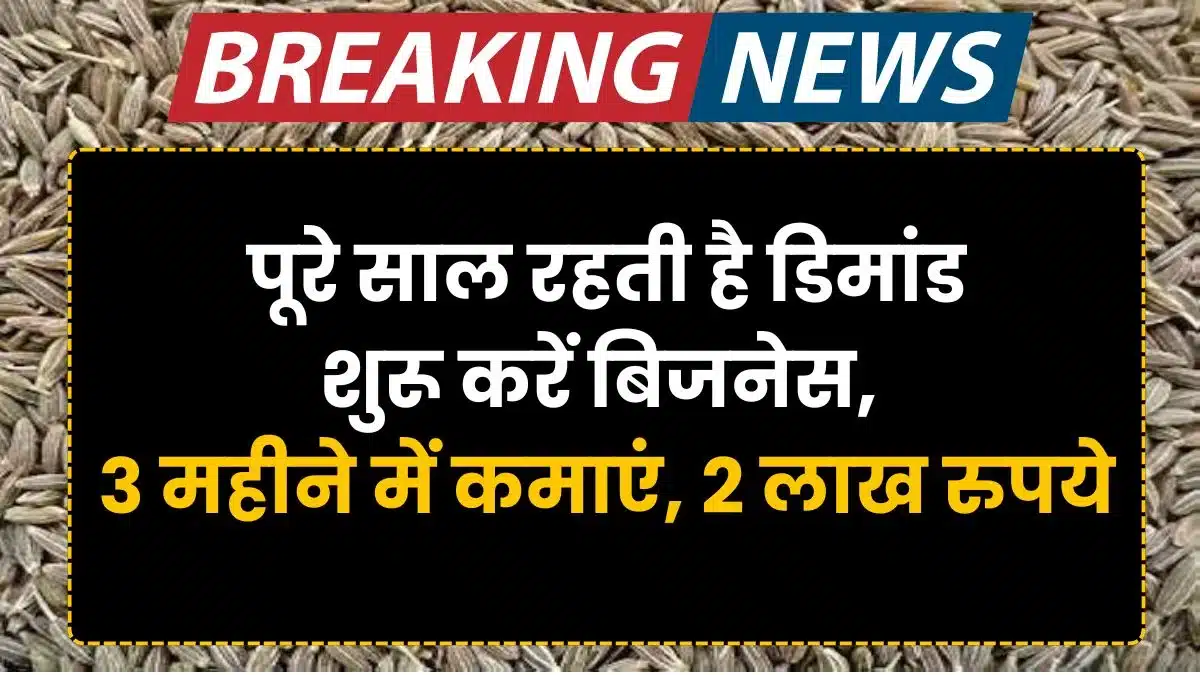 Cumin farming business idea