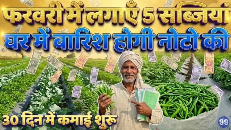 Top 5 profitable vegetables